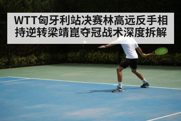 WTT匈牙利站决赛林高远反手相持逆转梁靖崑夺冠战术深度拆解